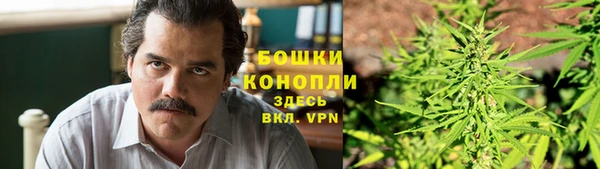 МДПВ Козельск