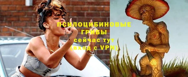 МДПВ Козельск